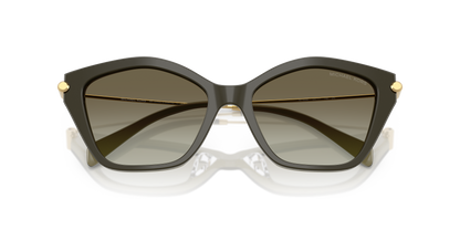 MICHAEL KORS MK2246U CATSKILLS 40193M 54