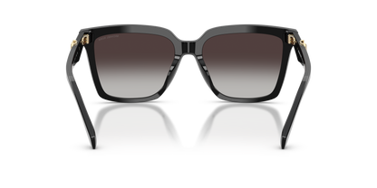 MICHAEL KORS MK2256U MENAGGIO 30058G 55