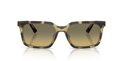 MICHAEL KORS MK2282U HONOLULU 4029L0 55