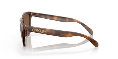 Oakley OO9013 Frogskins 9013C5 55