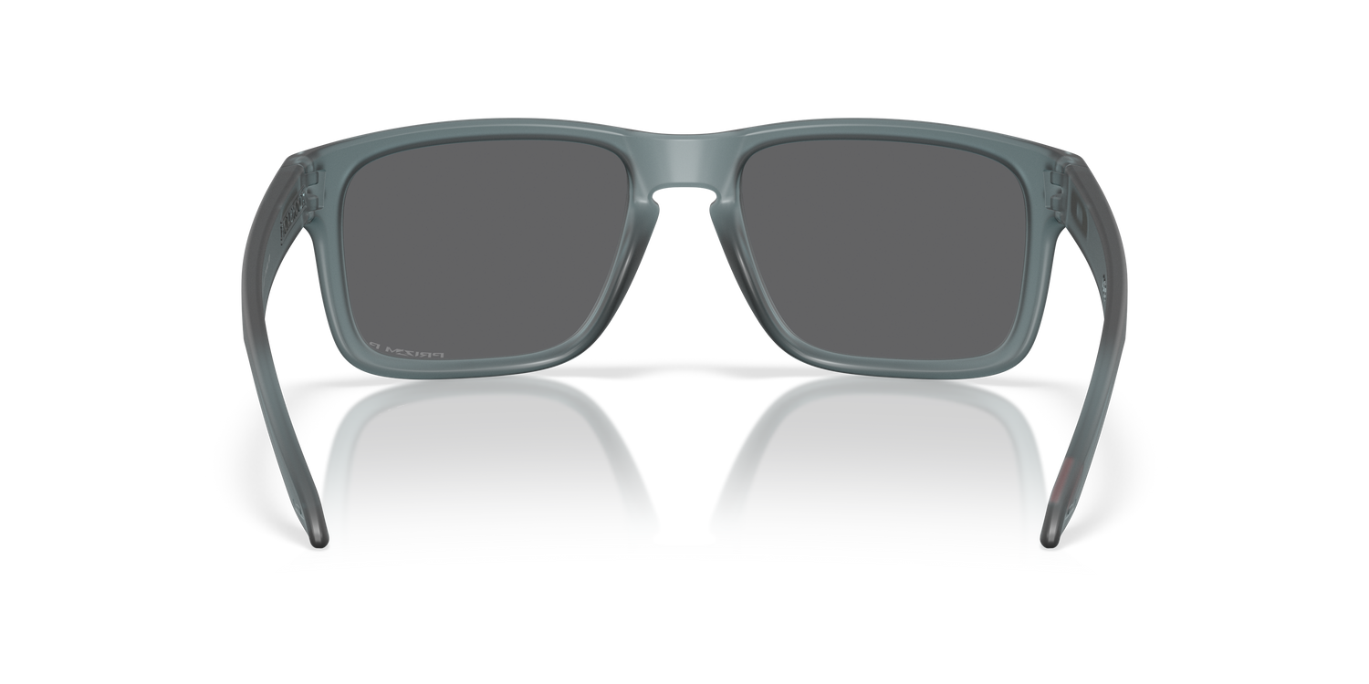 OAKLEY OO9102 HOLBROOK 9102Z4 55