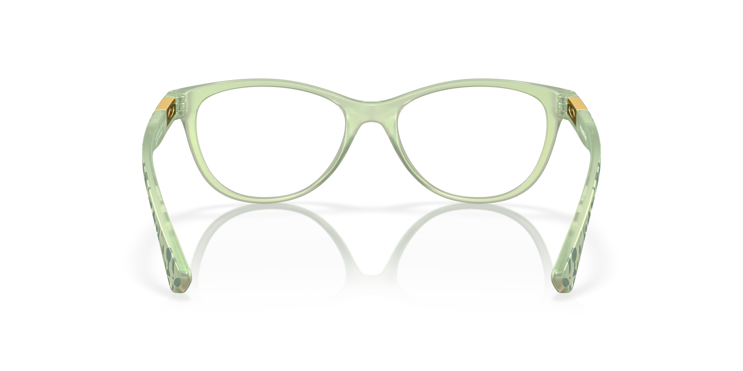 OAKLEY OX8146 PLUNGELINE 814610 50