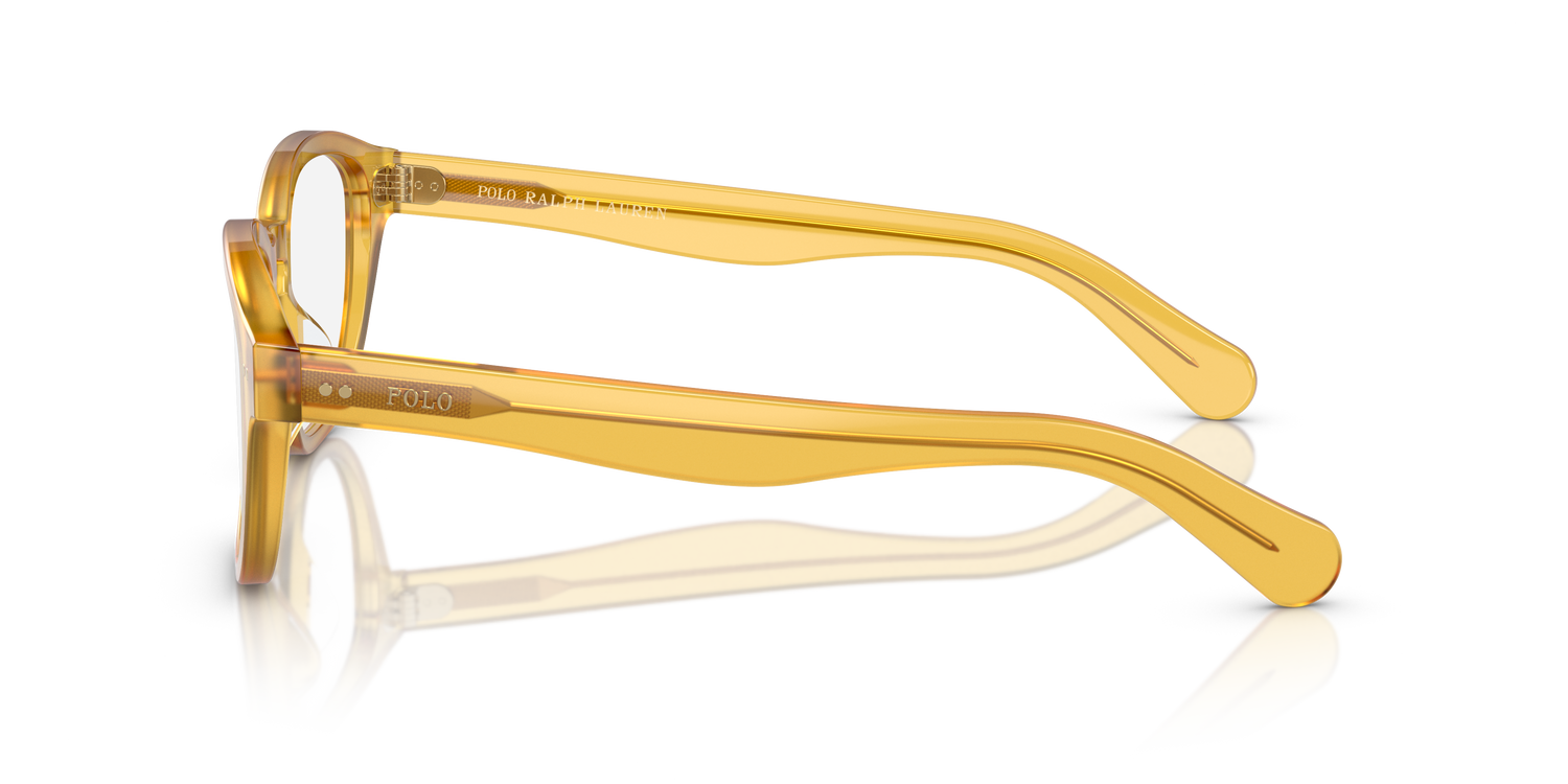 POLO PH2261U 5005 53