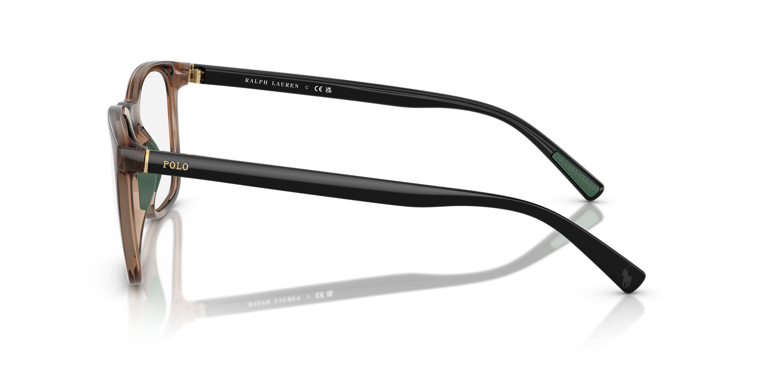 POLO PH2281U 5974 52