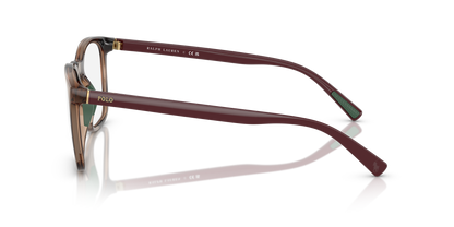 POLO PH2281U 6208 54