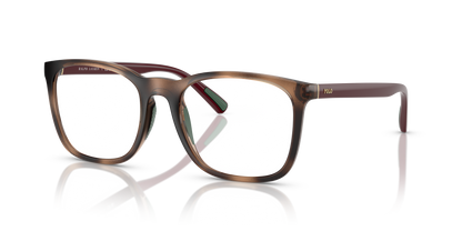 POLO PH2281U 6208 54