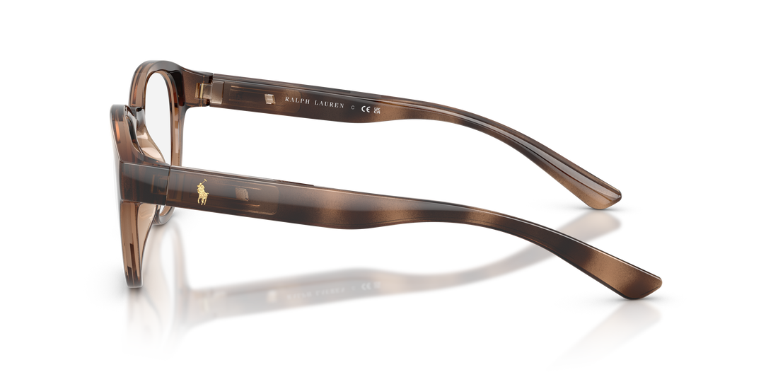 Gafas graduadas polo ph2293u 6070 havana pantos masculino talla 50mm - Vista de detalle