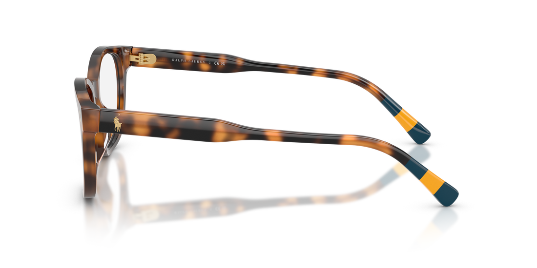 Brillen polo ph2303u 5003 havana square masculino größe 50mm - Detailansicht