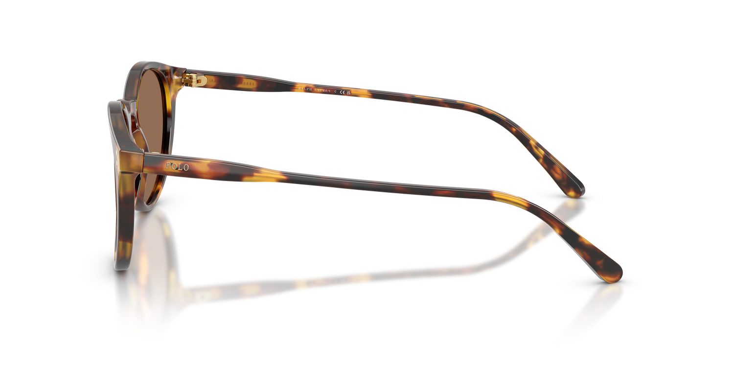 POLO PH4110 513473 50