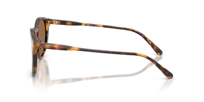 POLO PH4110 513473 50