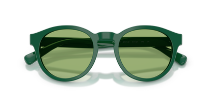 POLO PH4192 6141/2 51