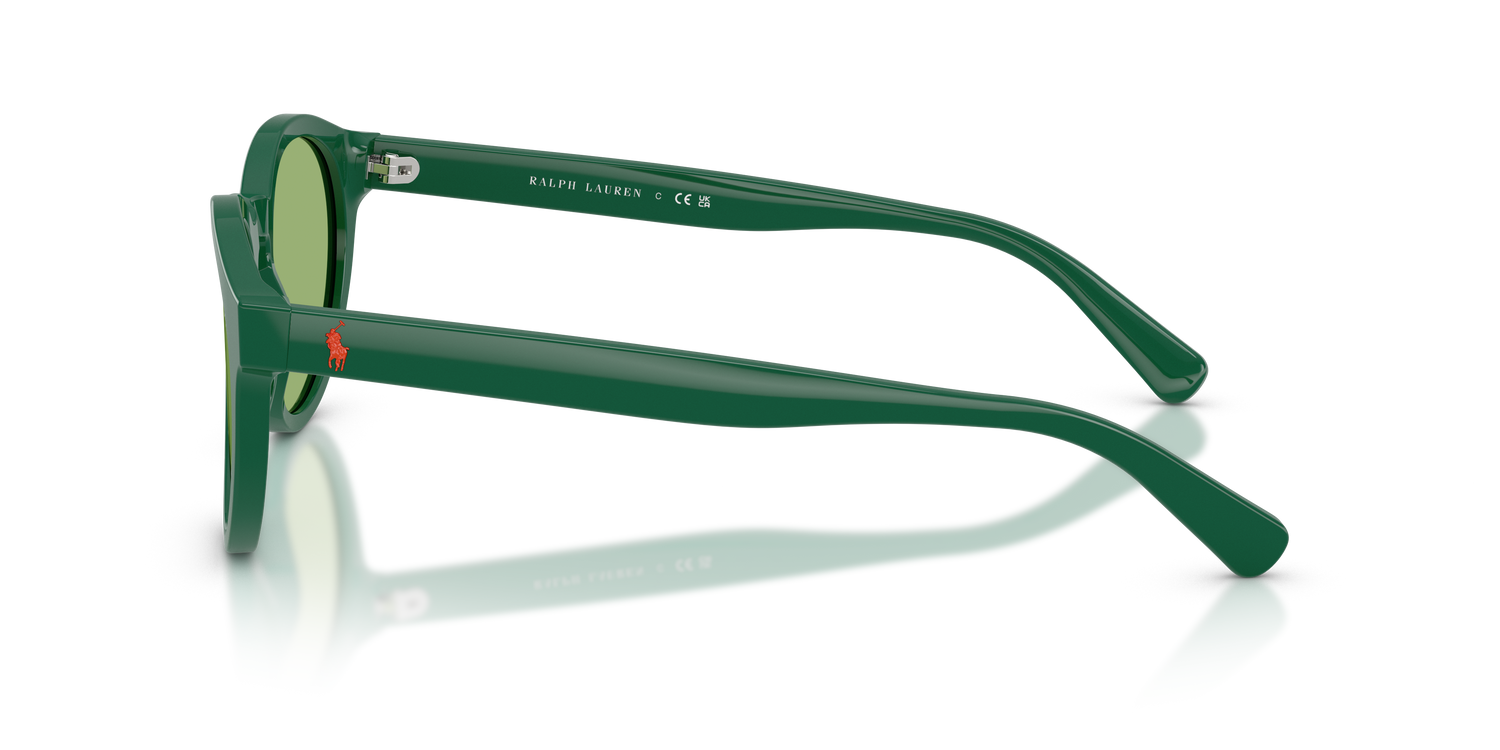 POLO PH4192 6141/2 51