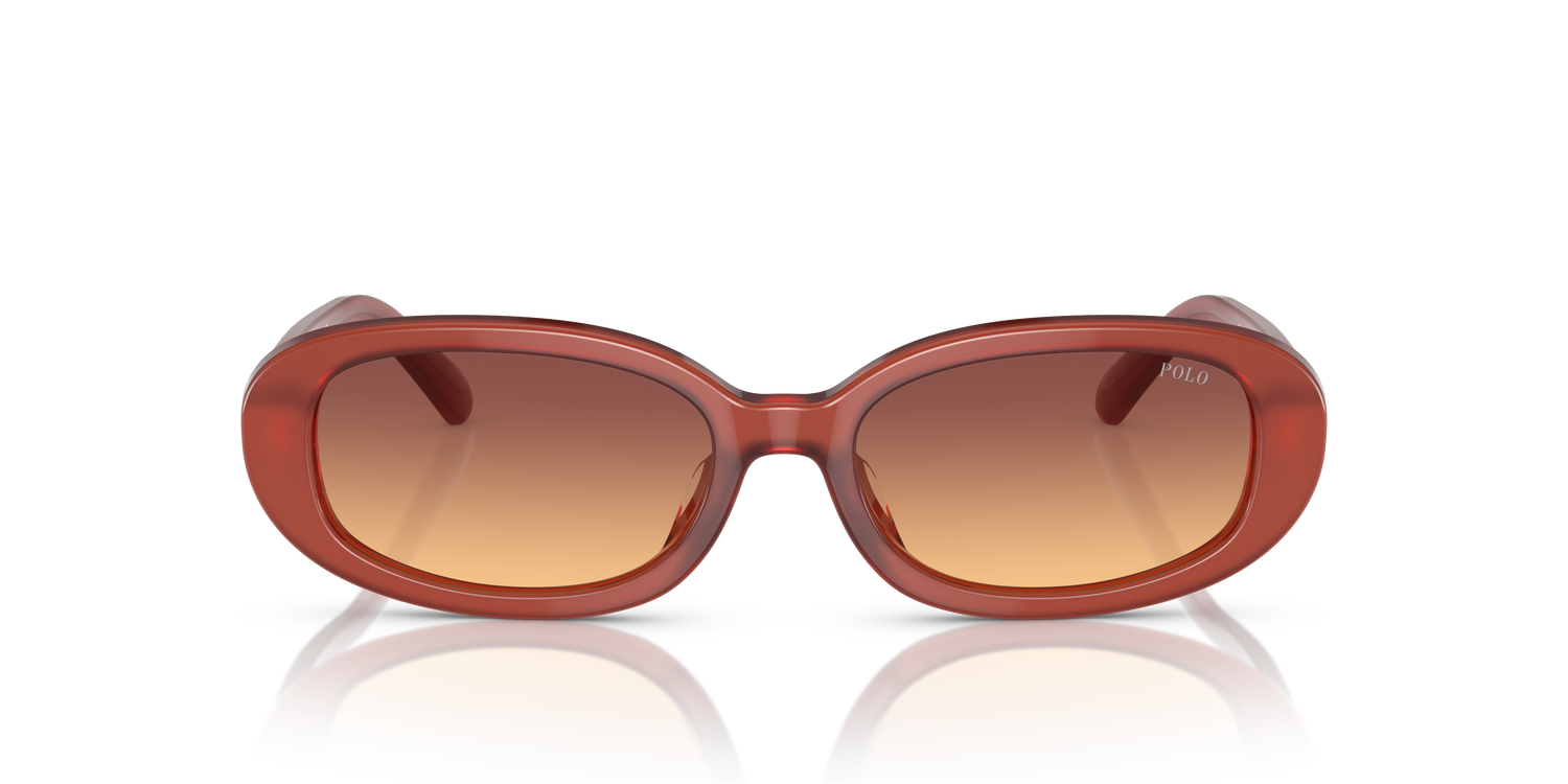 POLO PH4198U 619478 53