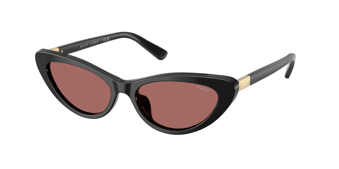 Lunettes de soleil polo ph4199u 500169 negro cat eye femenino taille 54mm - Vue principale