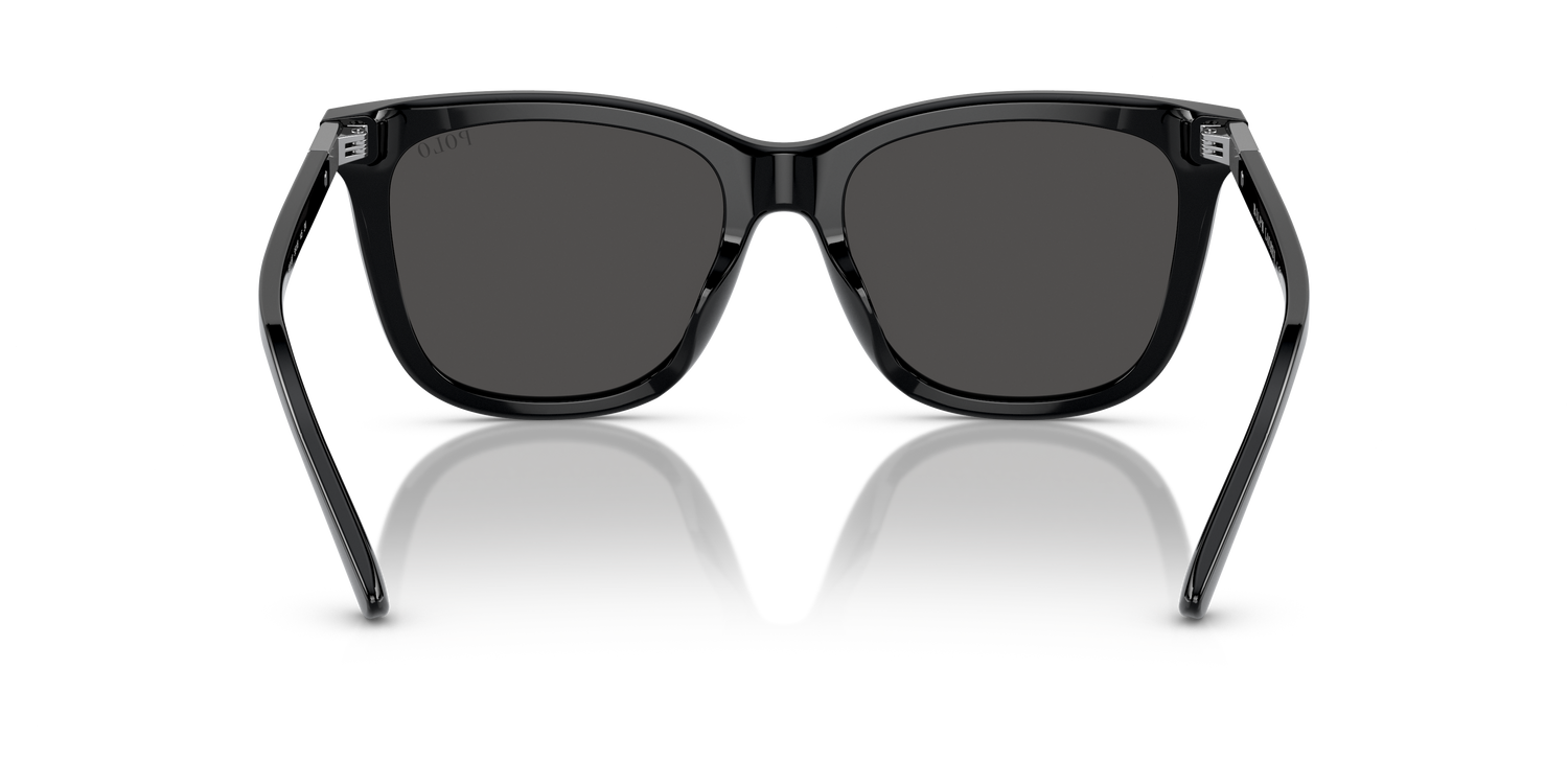 POLO PH4201U 500187 55