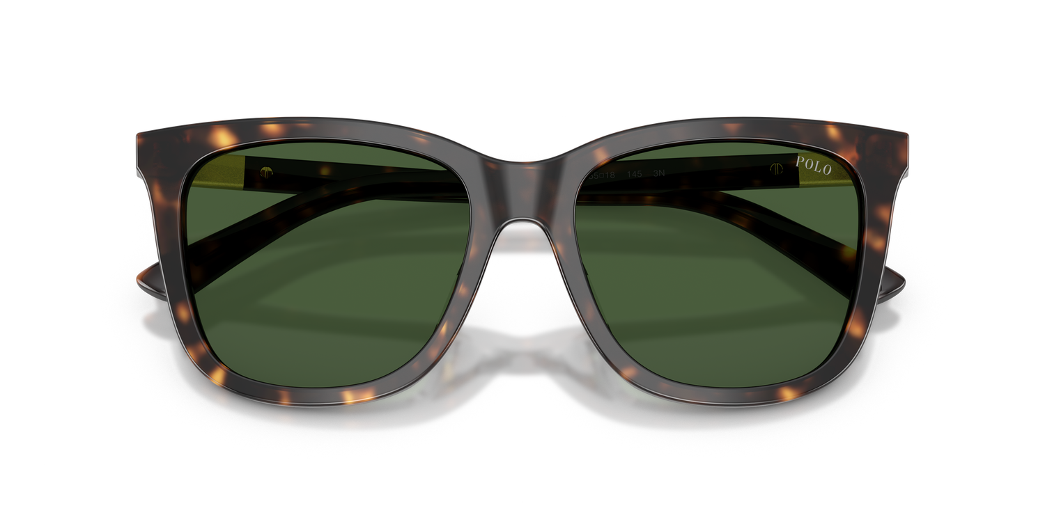 POLO PH4201U 500371 55