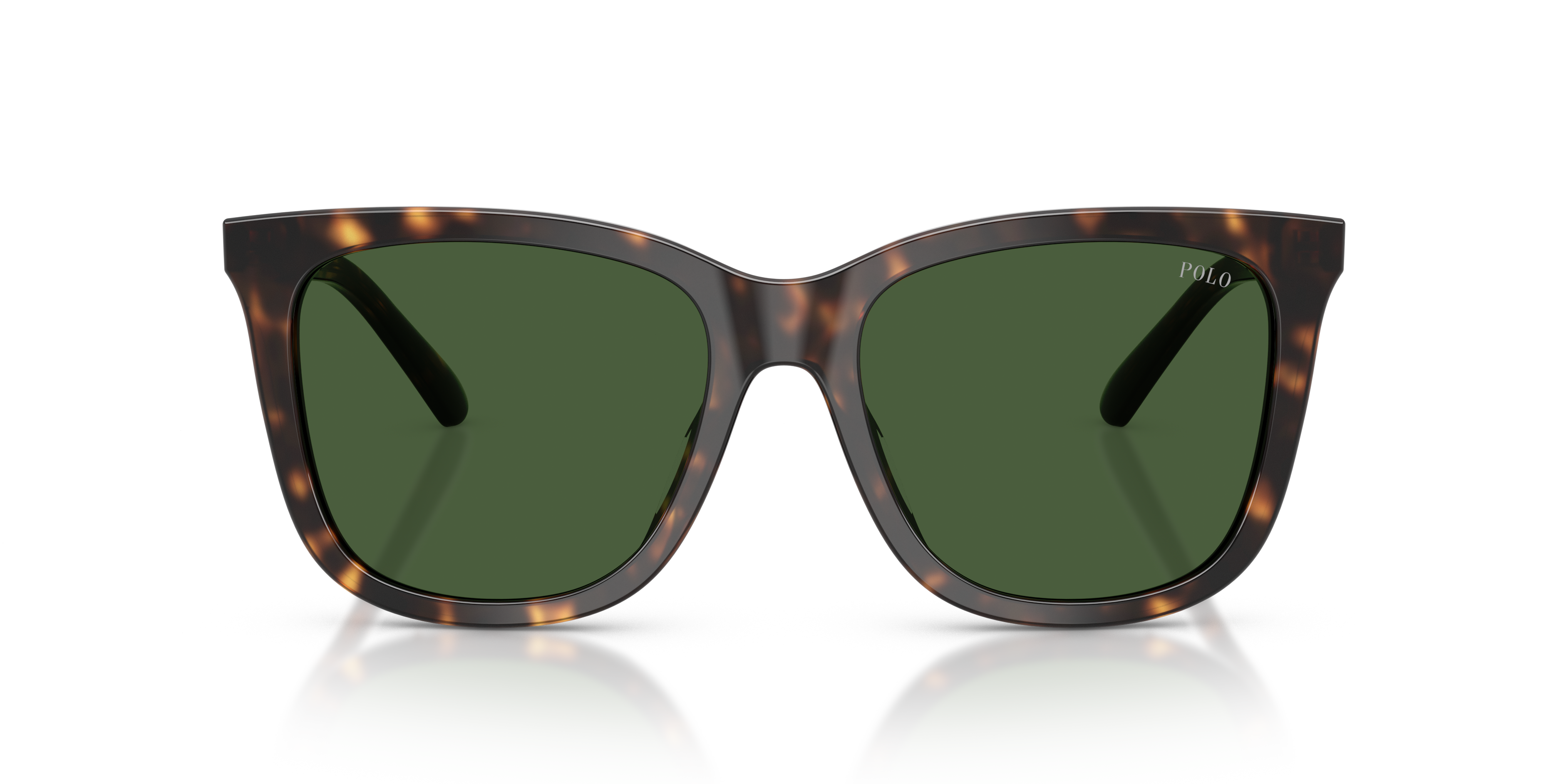 POLO PH4201U 500371 55