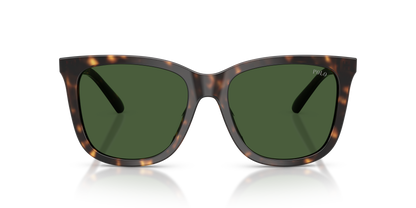 POLO PH4201U 500371 55