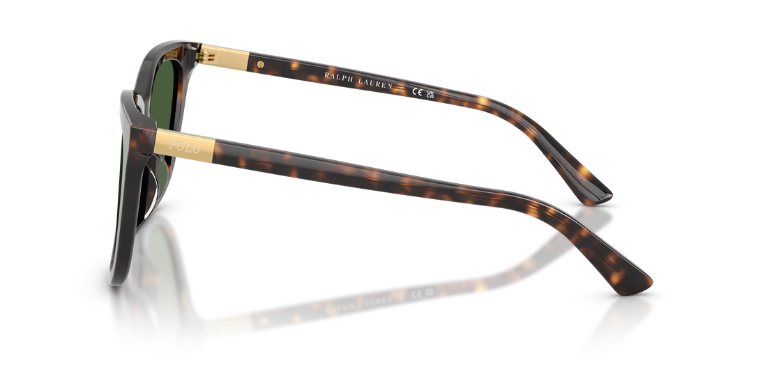 POLO PH4201U 500371 55