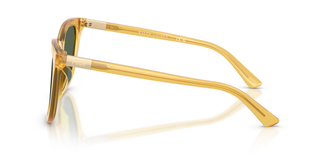 POLO PH4201U 500571 55