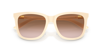 POLO PH4201U 605713 55