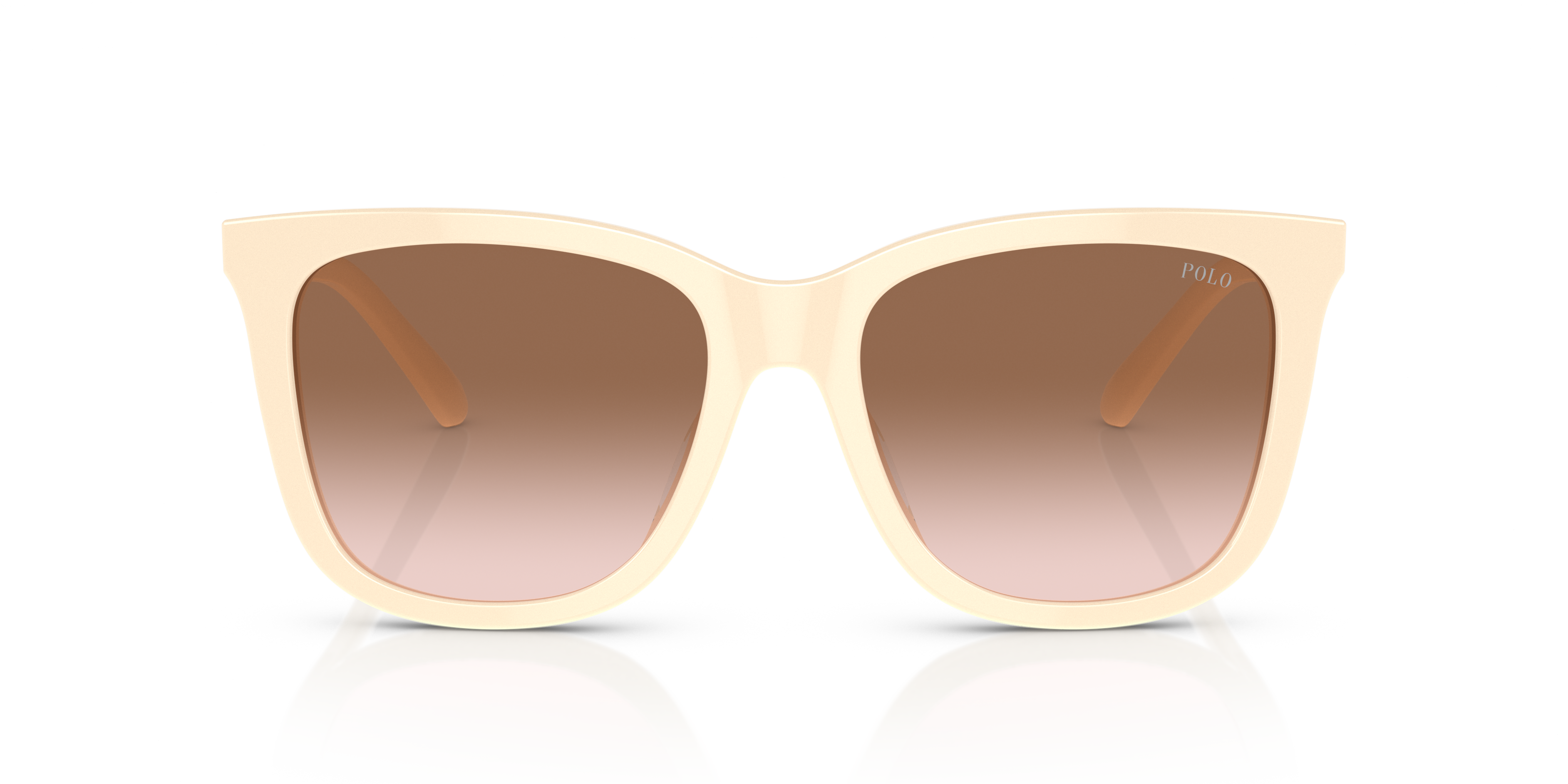 POLO PH4201U 605713 55