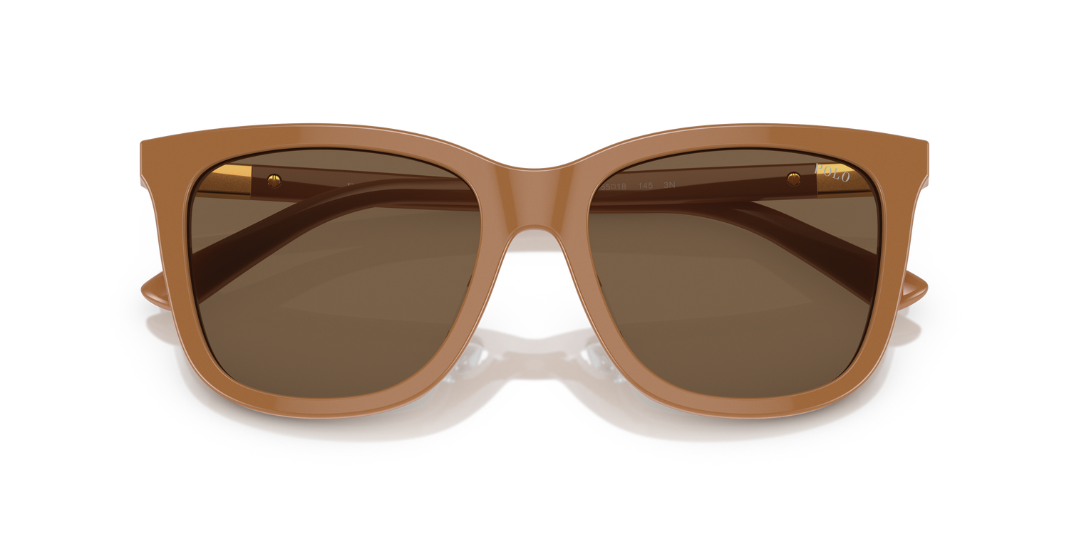 POLO PH4201U 619673 55