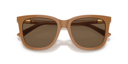 POLO PH4201U 619673 55