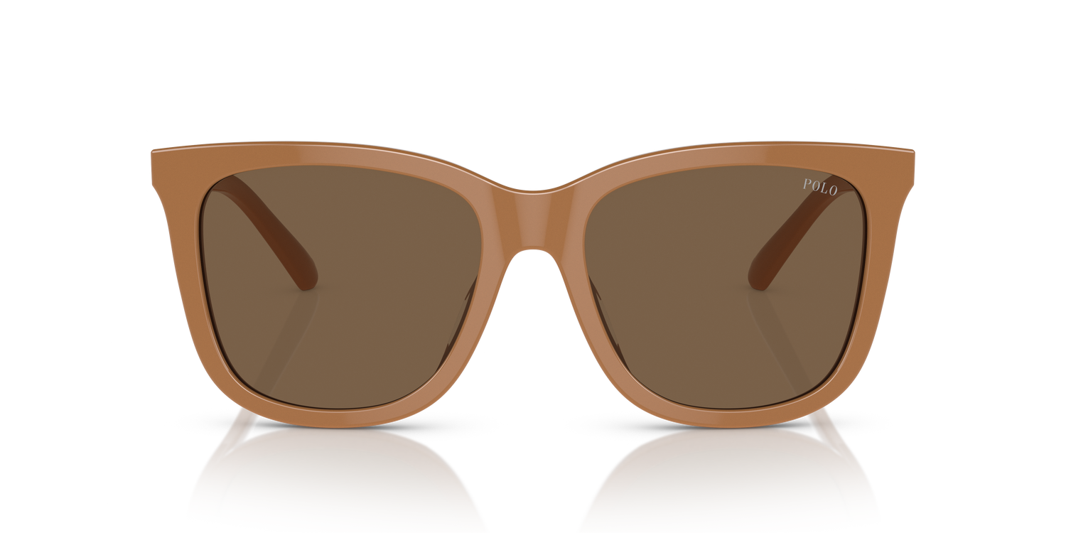 POLO PH4201U 619673 55