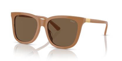 POLO PH4201U 619673 55