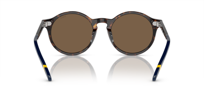 POLO PH4204U 500373 53