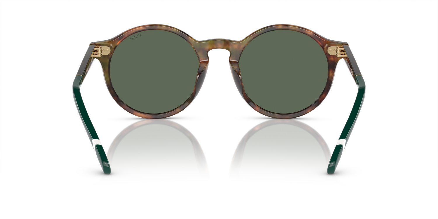 POLO PH4204U 501771 53