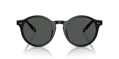 POLO PH4204U 538587 50