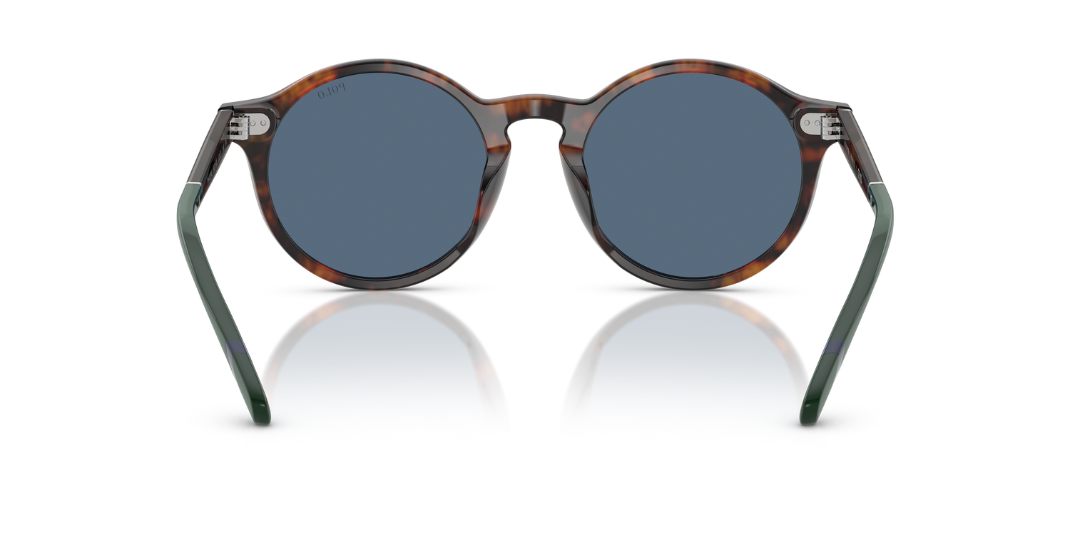 POLO PH4204U 562180 50