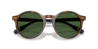 POLO PH4204U 562571 50