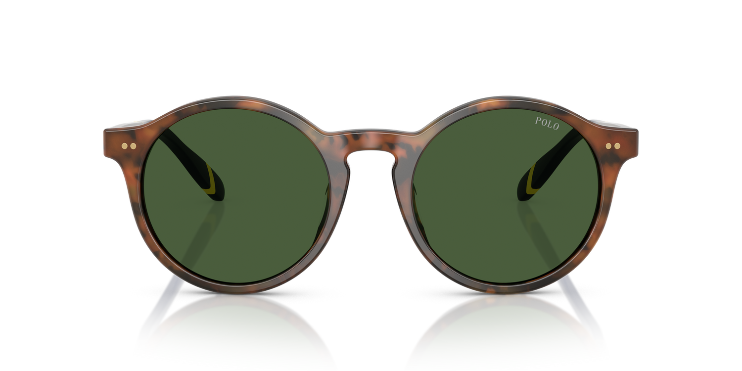 POLO PH4204U 562571 53