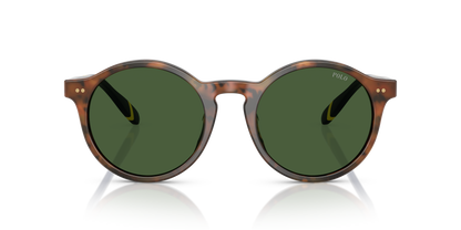 POLO PH4204U 562571 53