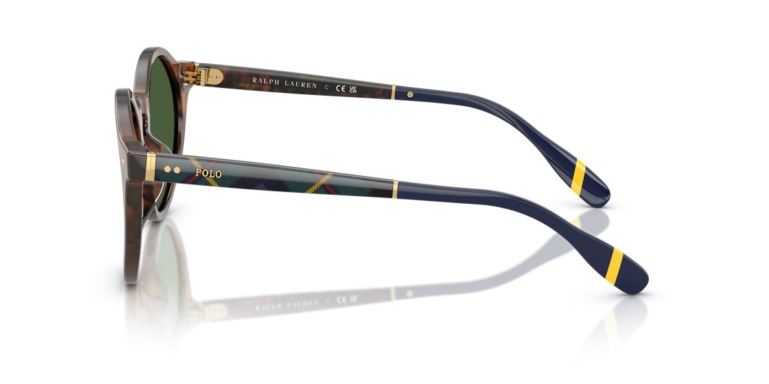 Sunglasses polo ph4204u 562571 carey pantos masculina size 50mm - Detailed view