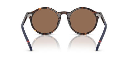 POLO PH4204U 567373 50