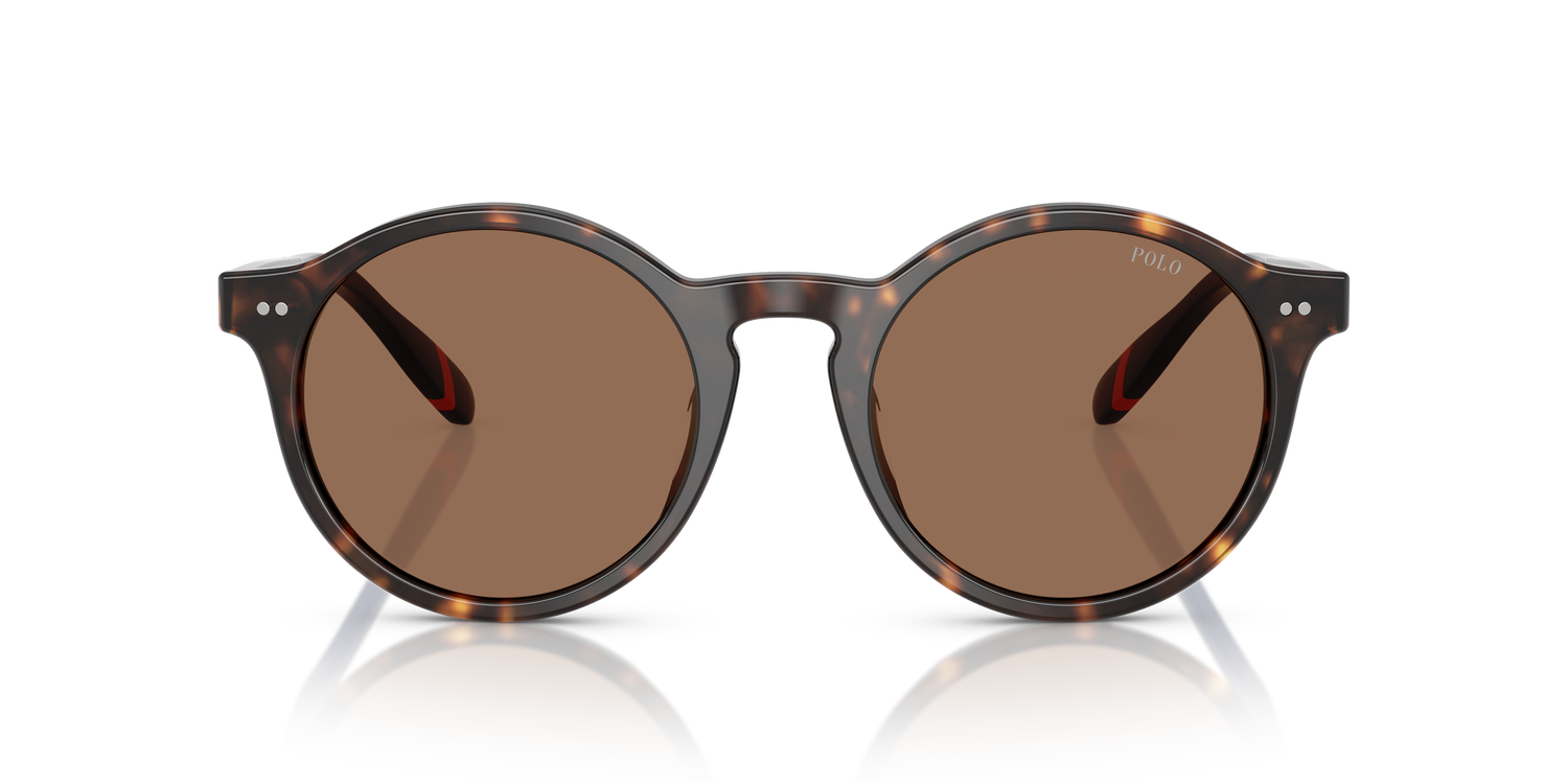 POLO PH4204U 567373 50