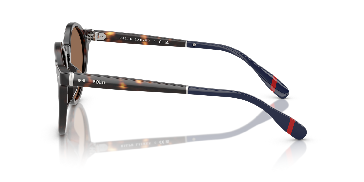 POLO PH4204U 567373 53