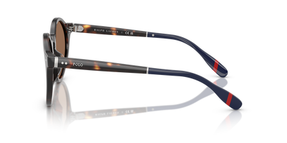 POLO PH4204U 567373 50