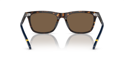 POLO PH4205U 500373 56