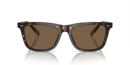 POLO PH4205U 500373 56