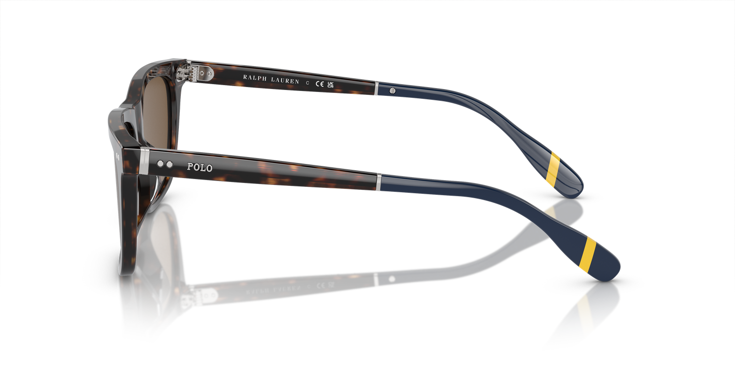 POLO PH4205U 500373 56