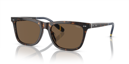 POLO PH4205U 500373 56