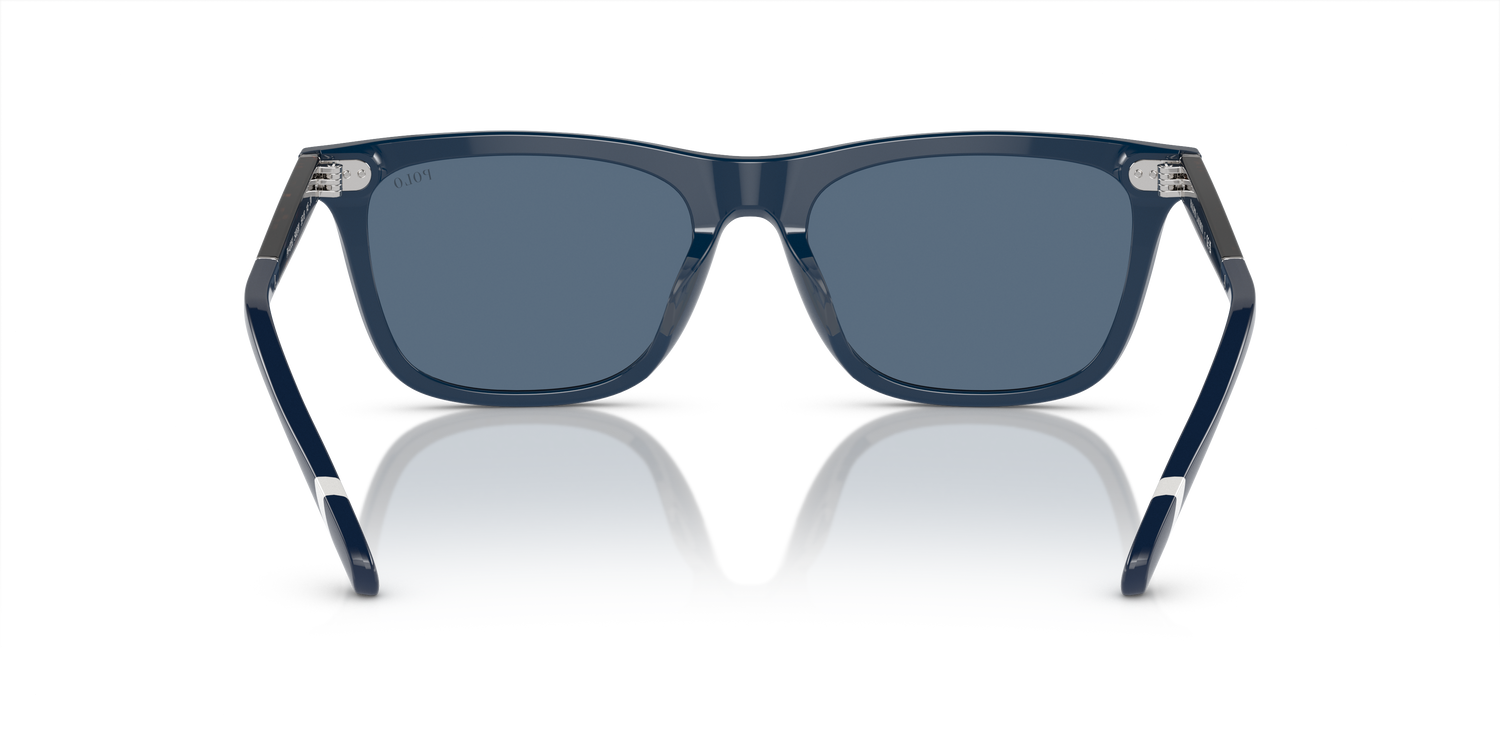 POLO PH4205U 546580 56