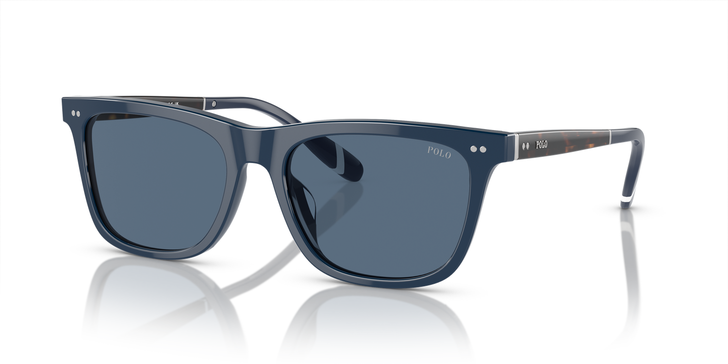 POLO PH4205U 546580 56