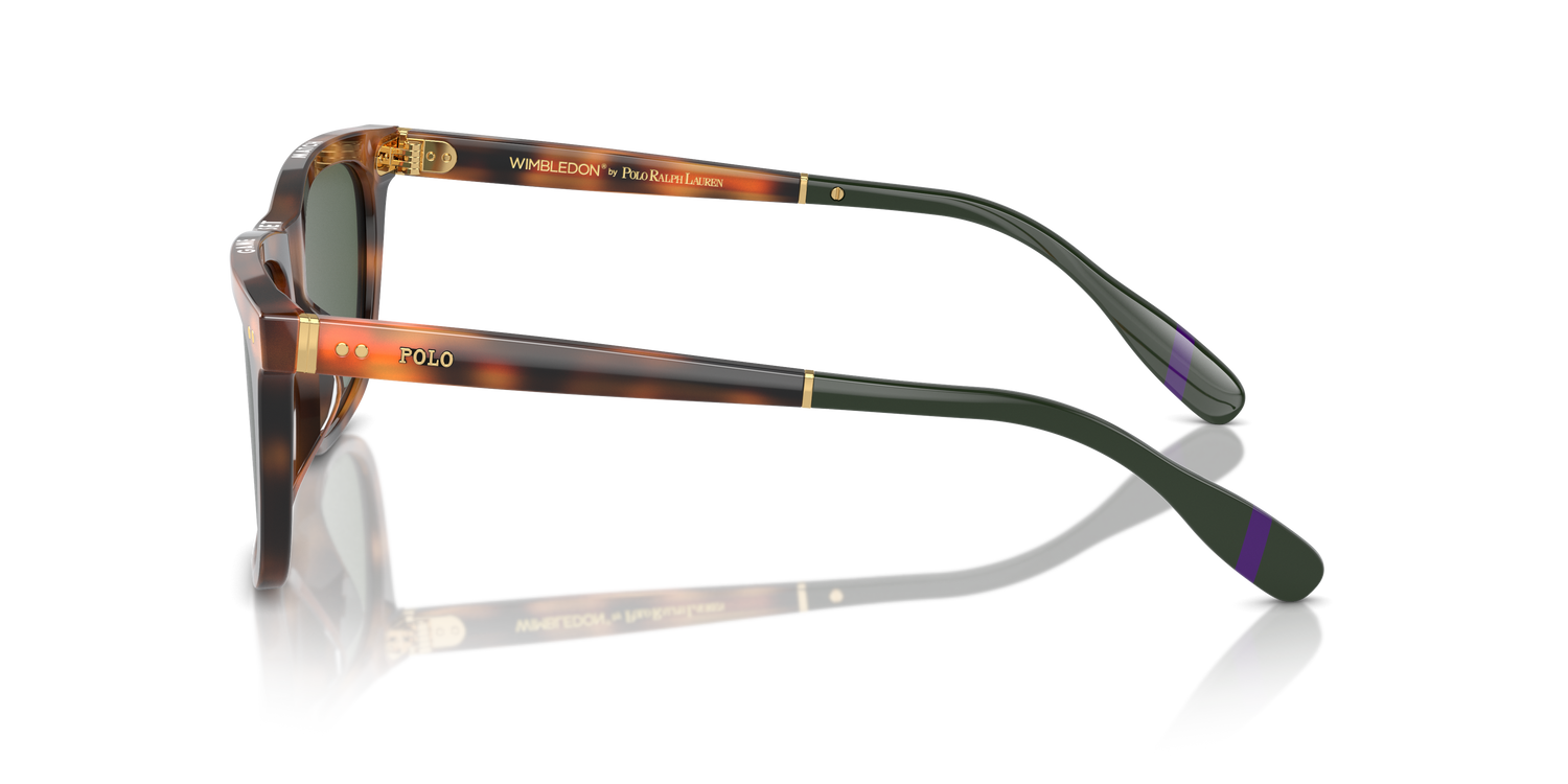 POLO PH4205U 608971 56