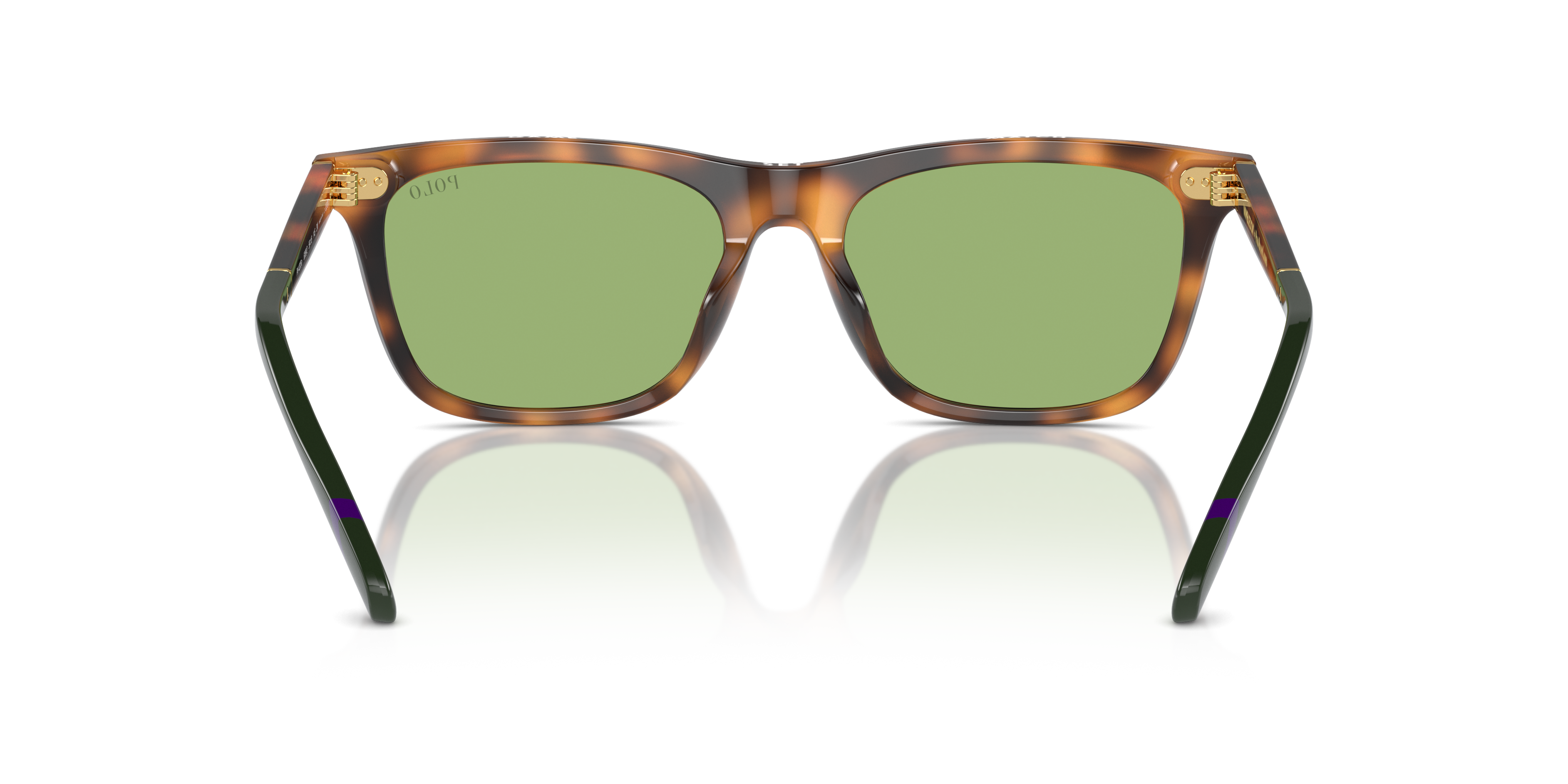 POLO PH4205U 6089/2 56